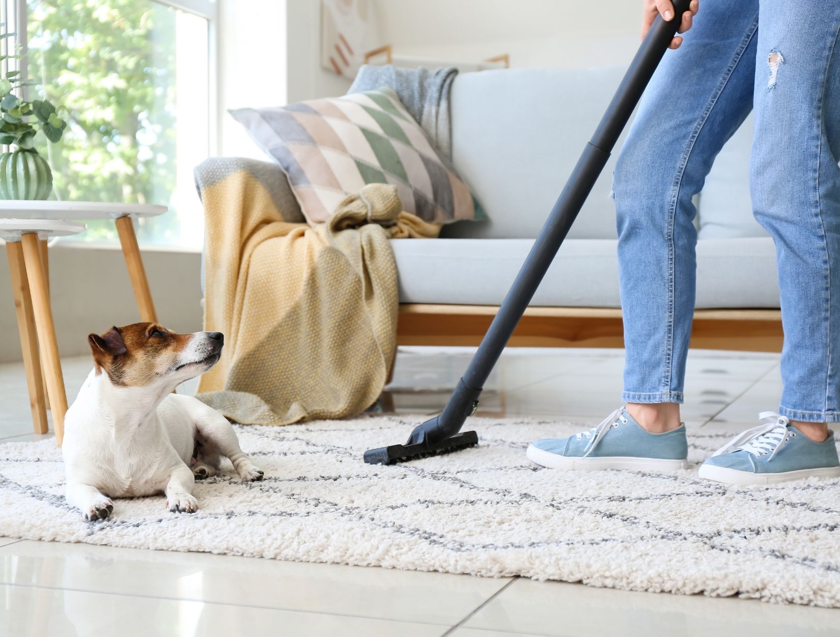 Why Landlords Require Deep Cleaning