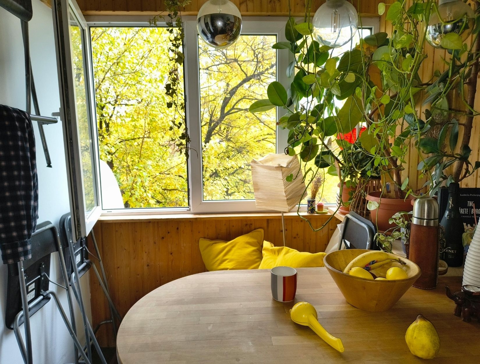 South End Charlotte Apartment Cleaning Services